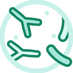 Microbiota